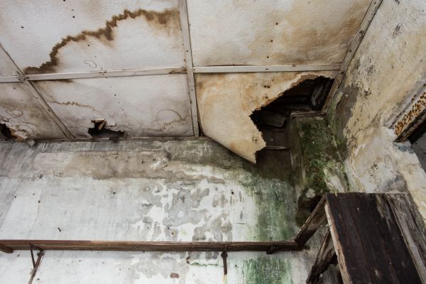 Water Damage Service in Henderson
