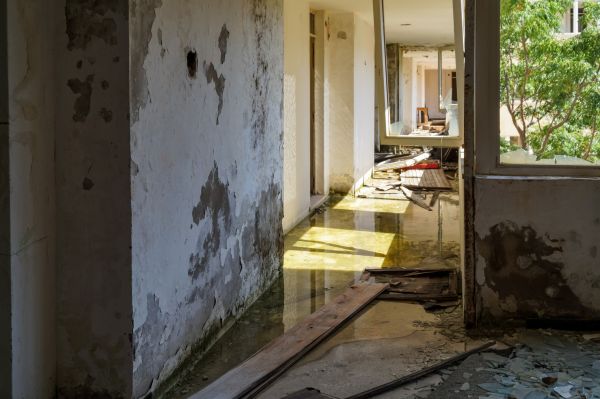 Water Removal Service in Henderson