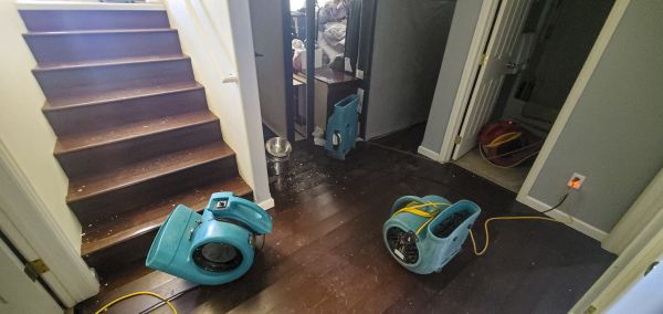 Water Damage Remediation in Henderson