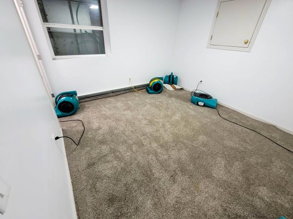 Flood Restoration Service in Henderson