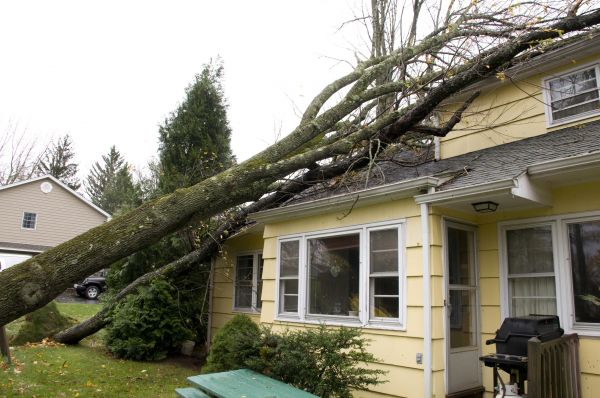 Hurricane Damage Repair in Henderson